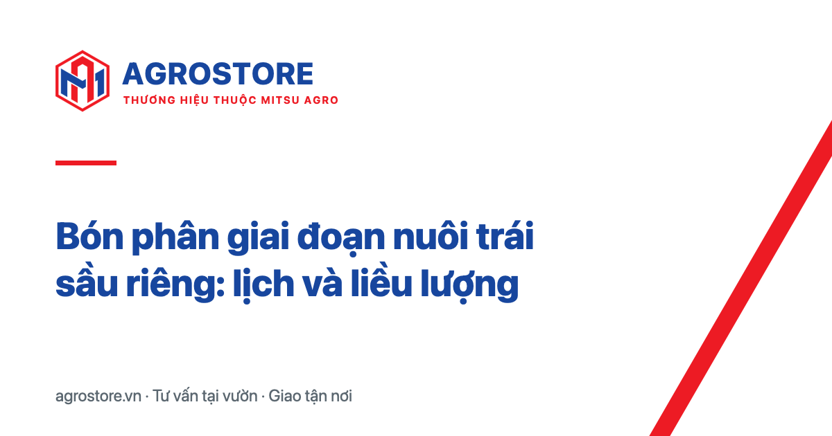 Bón phân giai đoạn nuôi trái sầu riêng: lịch và liều lượng