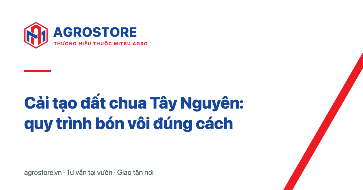 Cải tạo đất chua Tây Nguyên: quy trình bón vôi đúng cách