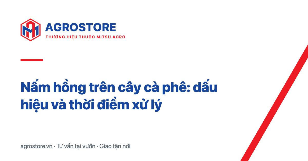 Nấm hồng trên cây cà phê: dấu hiệu và thời điểm xử lý