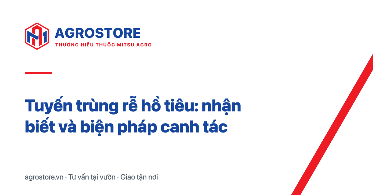 Tuyến trùng rễ hồ tiêu: nhận biết và biện pháp canh tác